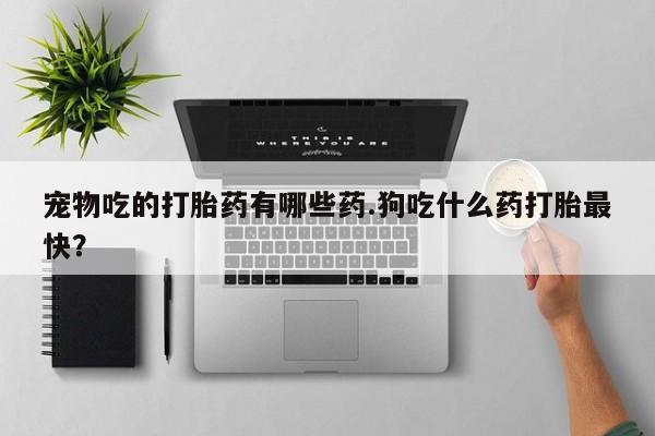 私人卖打胎药微信微信誉好的商家！宠物吃的打胎药有哪些药.狗吃什么药打胎最快？