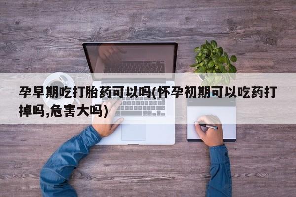 私人卖打胎药微信微信誉好的商家！孕早期吃打胎药可以吗(怀孕初期可以吃药打掉吗,危害大吗)