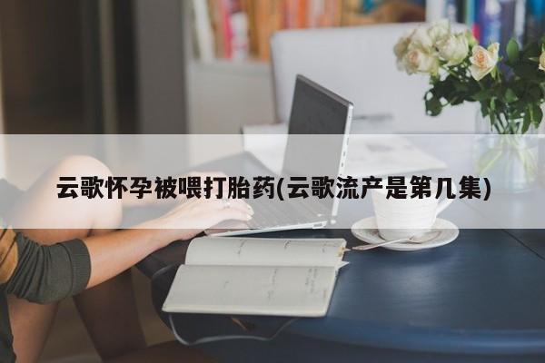 私人卖打胎药微信微信誉好的商家!云歌怀孕被喂打胎药(云歌流产是第几集)